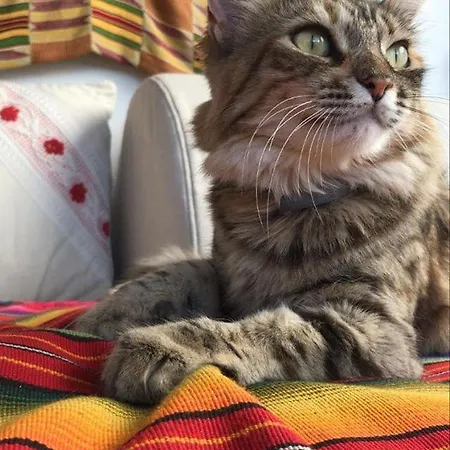 Sa Ribera Frühstückspension Càbras