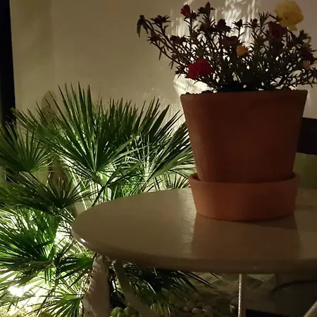 Frühstückspension Sa Ribera