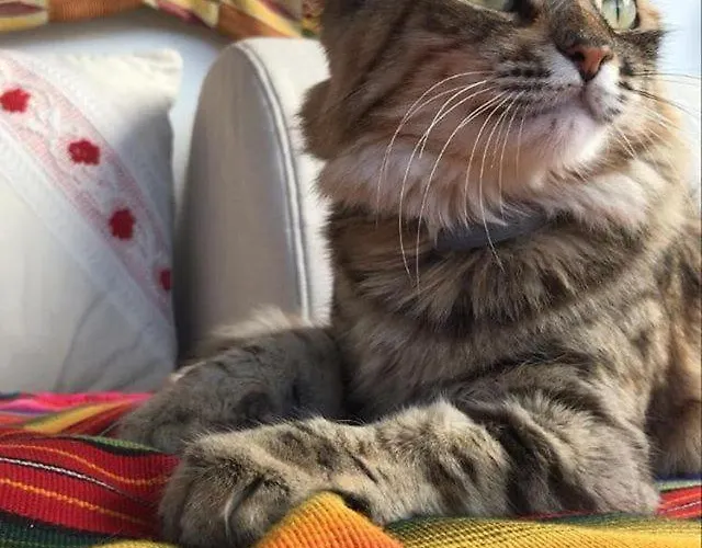 Sa Ribera Bed and Breakfast Càbras