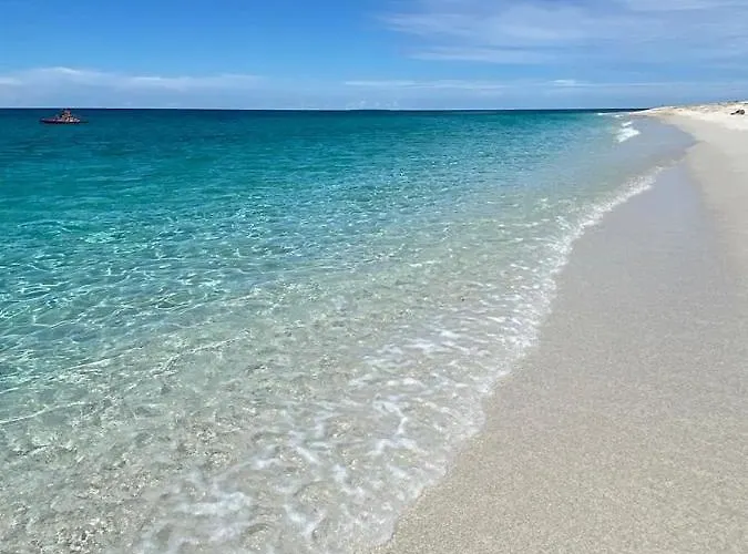 Sa Ribera Couette-café